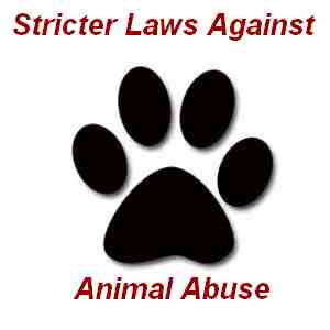 Animal Abuse Laws - Why Abuse When You Could Refuse